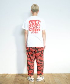 画像24: 【SALT&MUGS】Psyche Logo Pkt Tee (24)