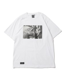 画像3: 【VIRGOwearworks】Mirage (3)