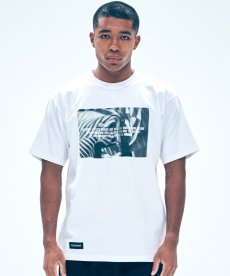 画像13: 【VIRGOwearworks】Mirage (13)