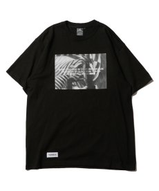 画像2: 【VIRGOwearworks】Mirage (2)
