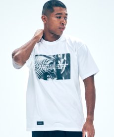 画像5: 【VIRGOwearworks】Mirage (5)