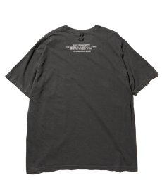 画像3: 【VIRGOwearworks】Slacktail cruise tee (3)