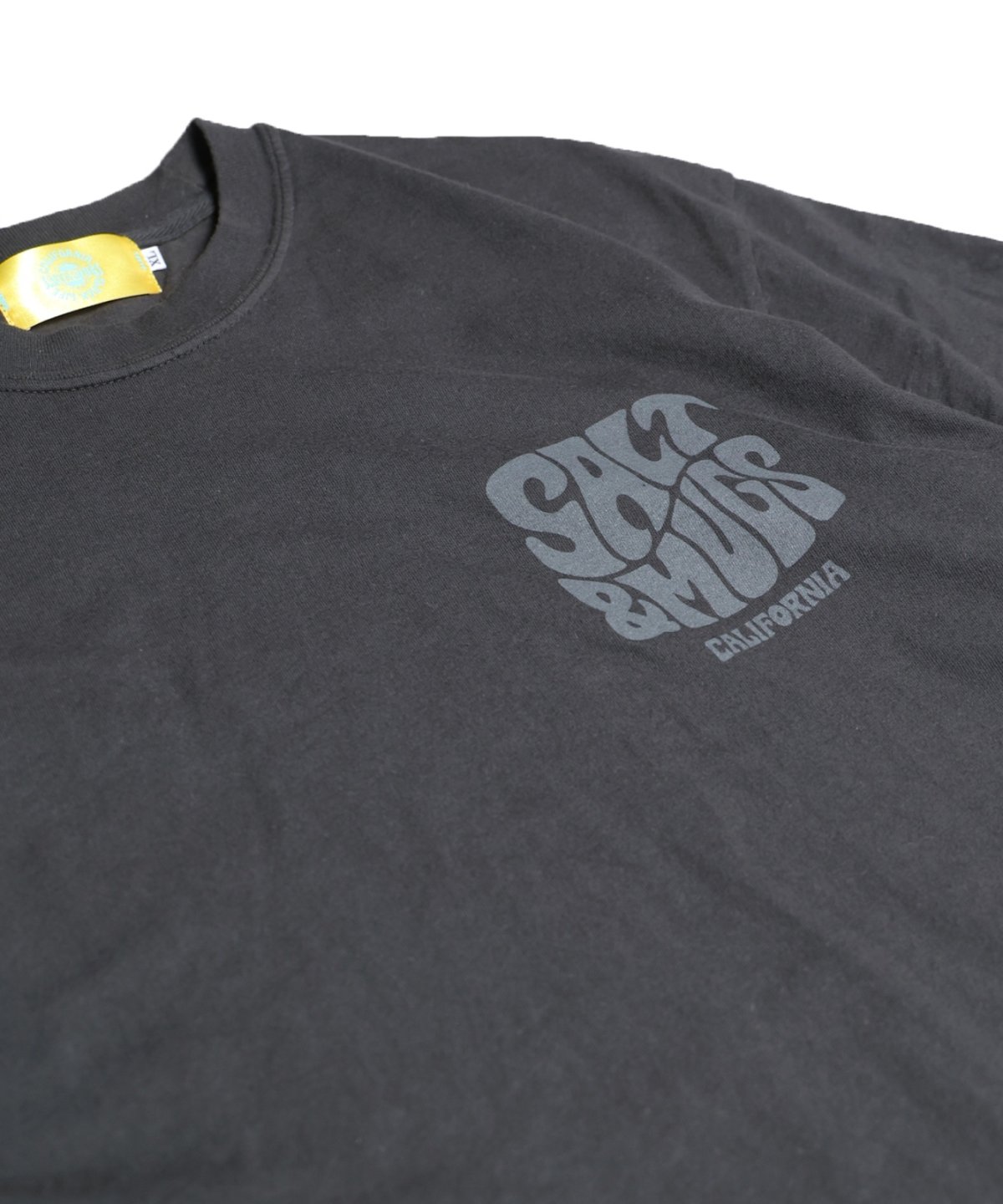 画像9: 【SALT&MUGS】Psyche Logo 25 Tee (9)