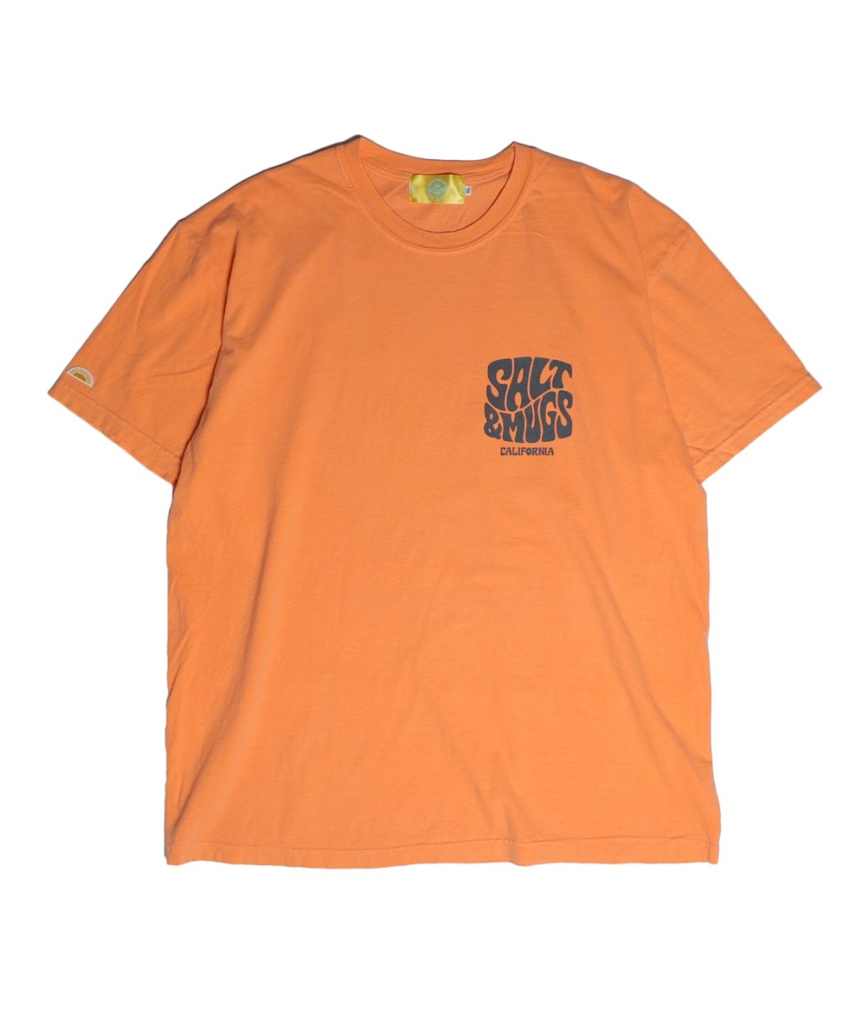 画像4: 【SALT&MUGS】Psyche Logo 25 Tee (4)