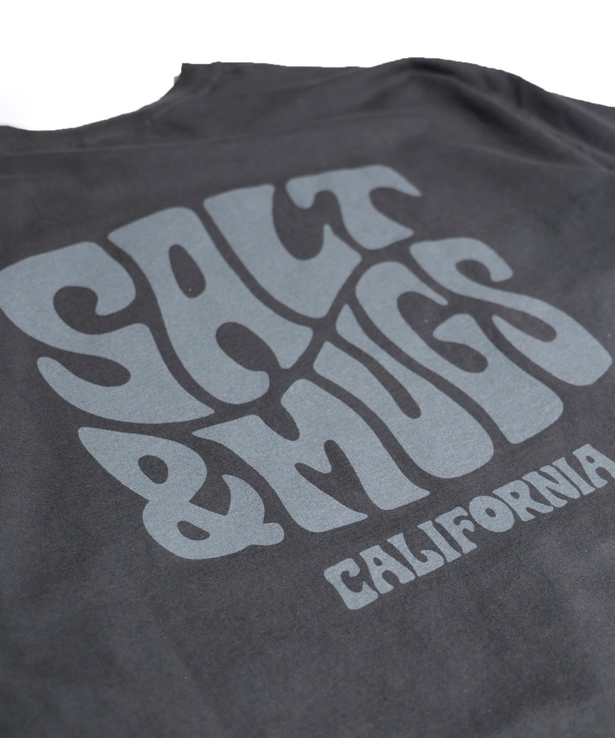 画像6: 【SALT&MUGS】Psyche Logo 25 Tee (6)