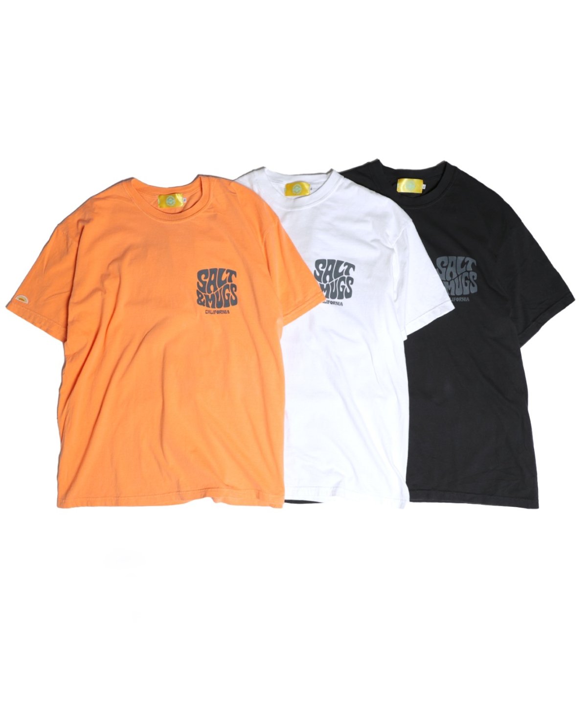 画像1: 【SALT&MUGS】Psyche Logo 25 Tee (1)