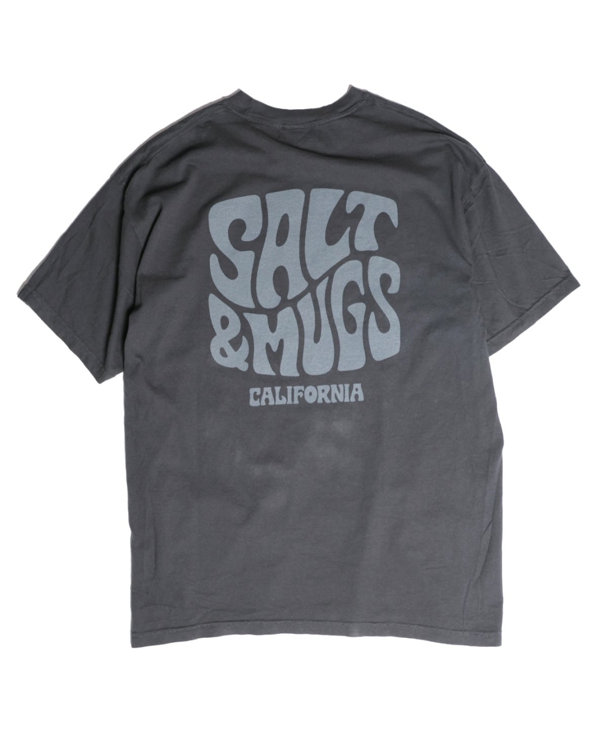 画像3: 【SALT&MUGS】Psyche Logo 25 Tee (3)