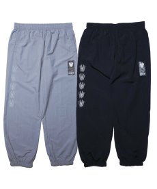 画像1: 【W】Warp logo nylon pt (1)